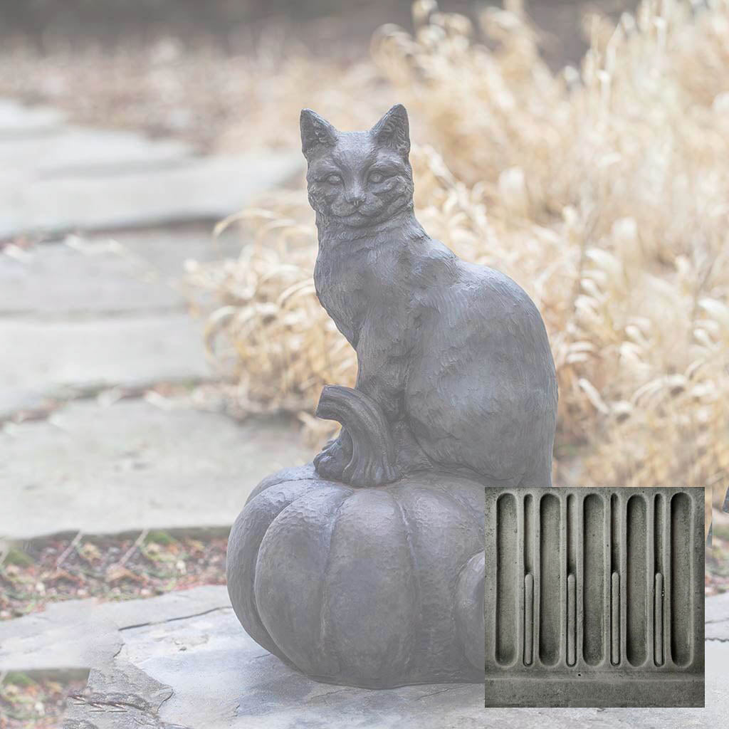 Cat on Pumpkin