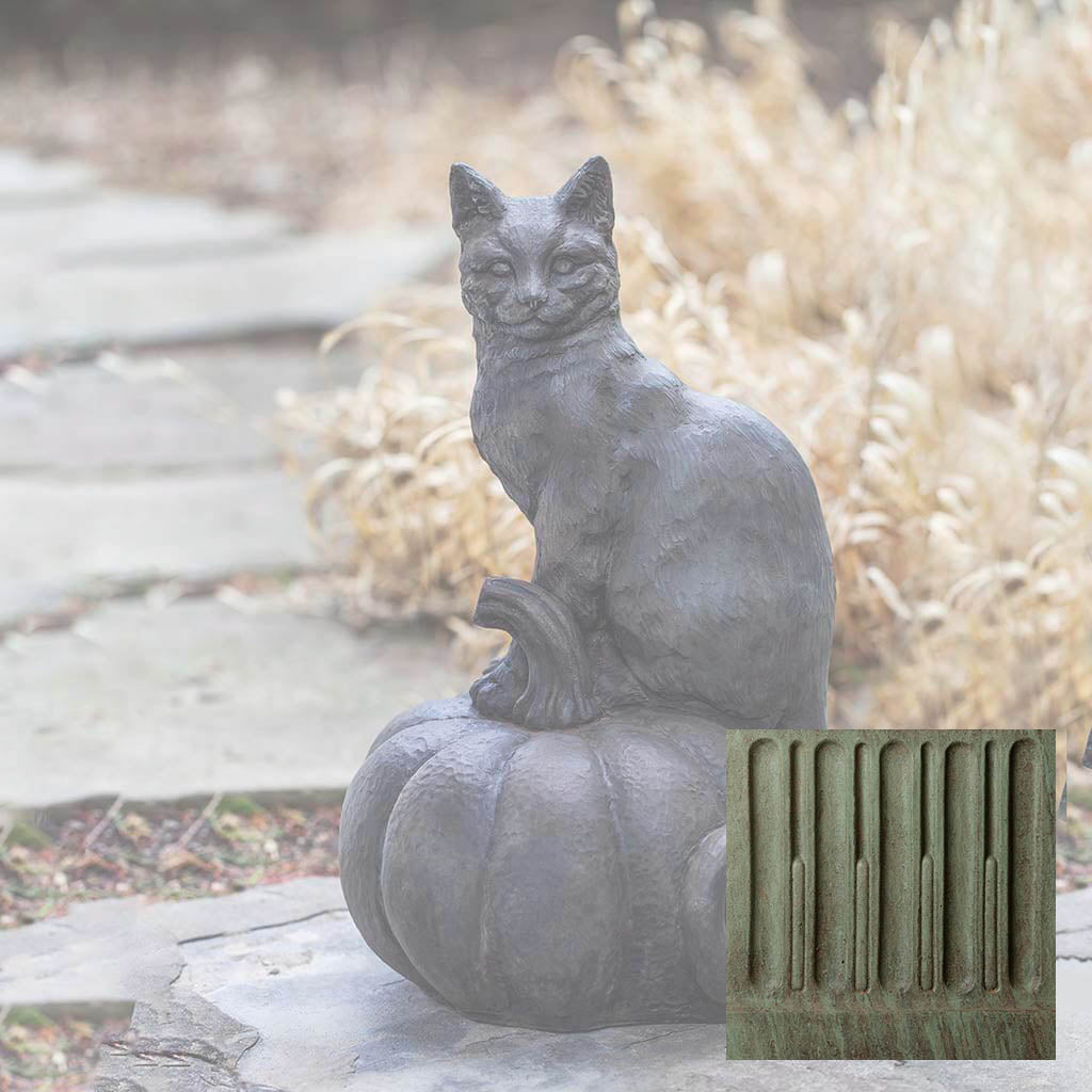 Cat on Pumpkin