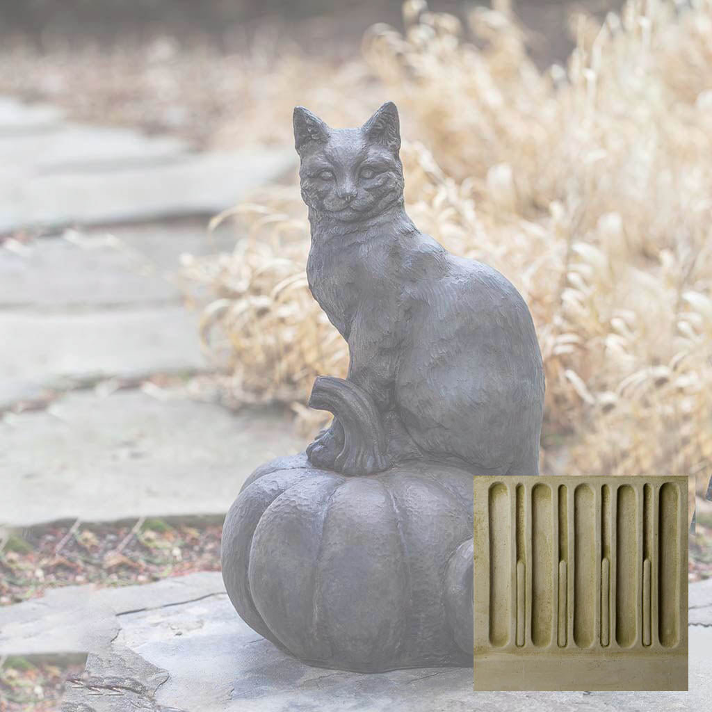 Cat on Pumpkin