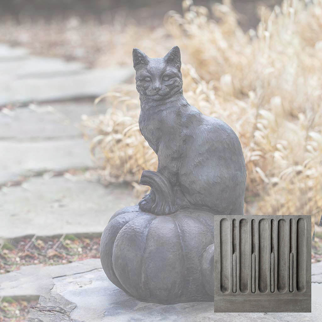 Cat on Pumpkin