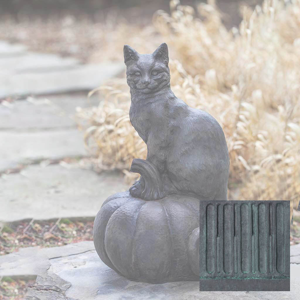 Cat on Pumpkin