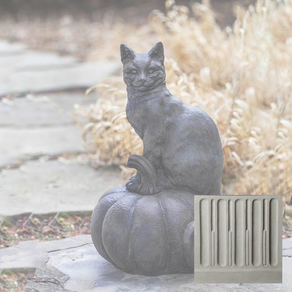 Cat on Pumpkin