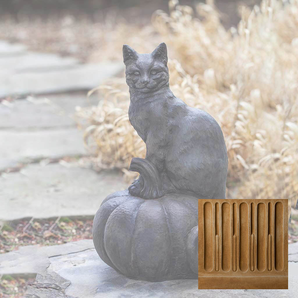 Cat on Pumpkin