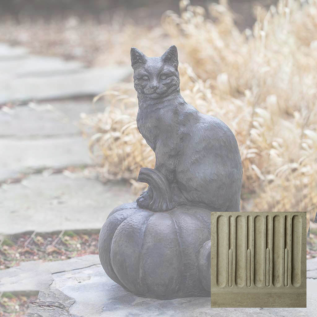 Cat on Pumpkin