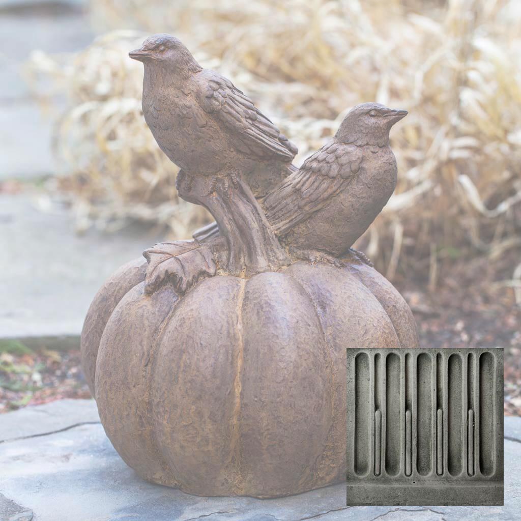 Birds on Pumpkin