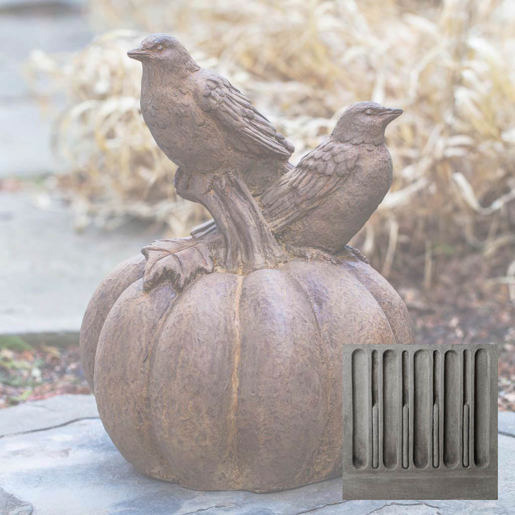Birds on Pumpkin