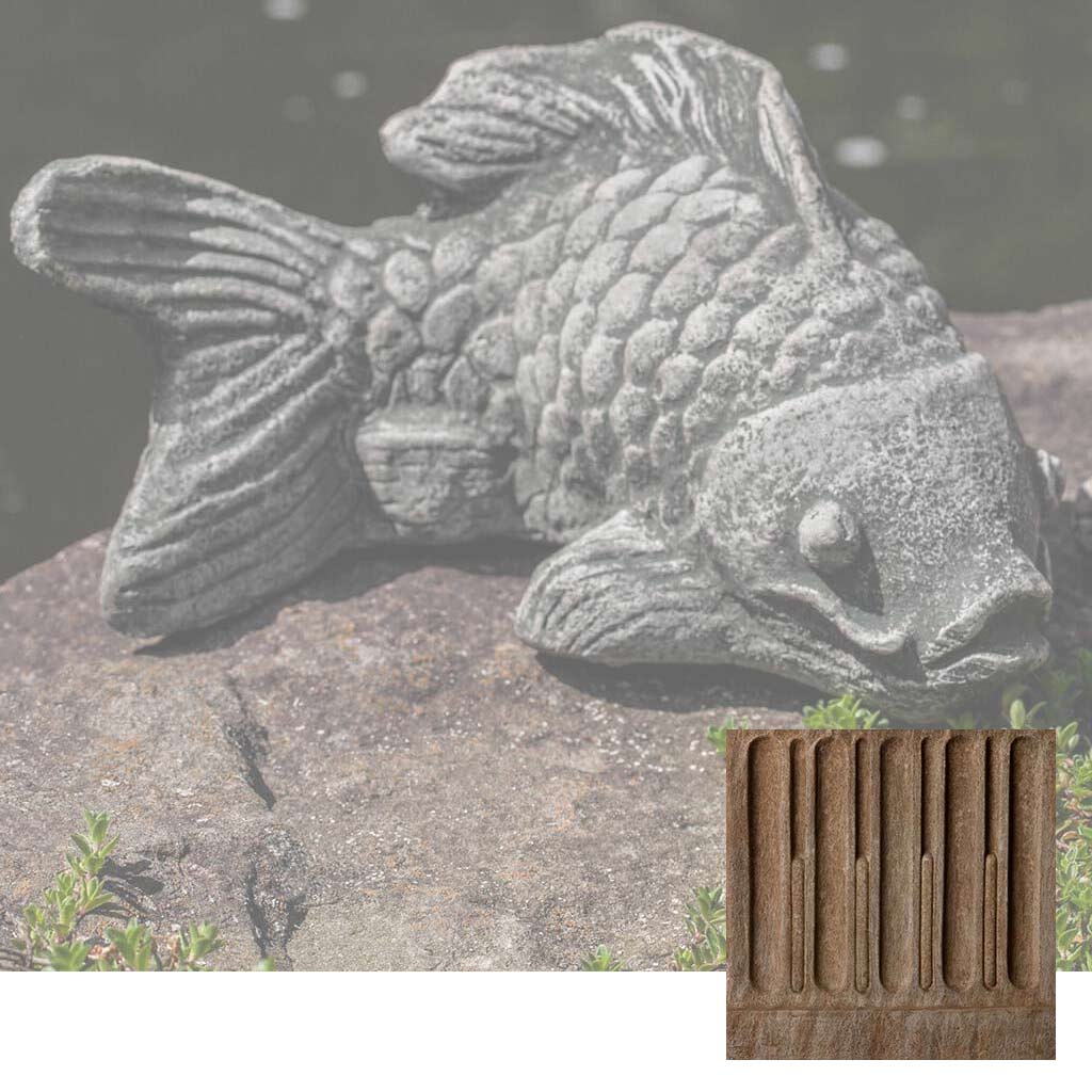 Coy Koi