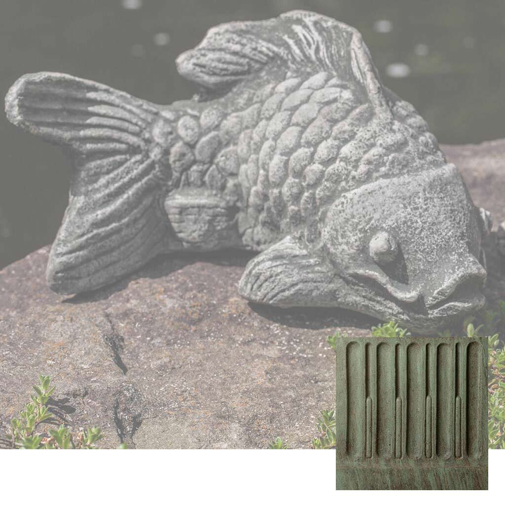 Coy Koi
