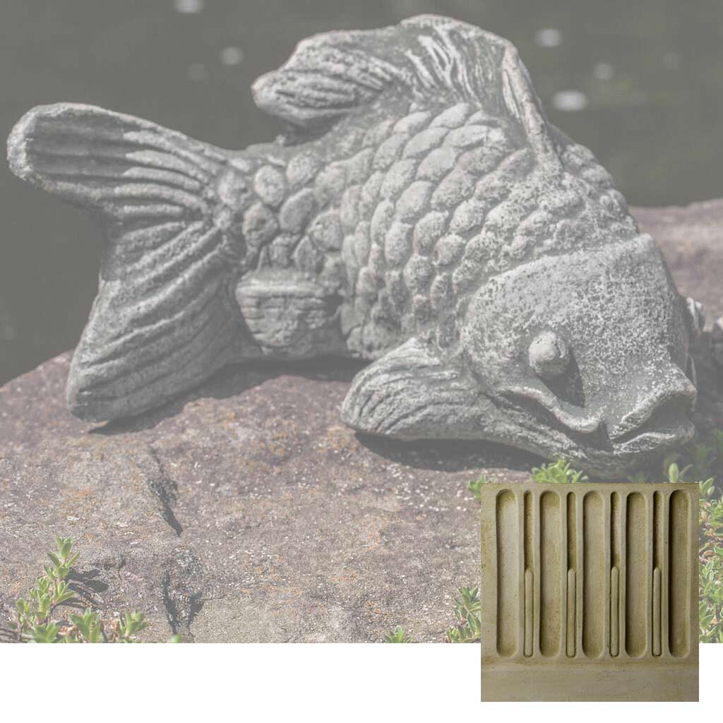 Coy Koi