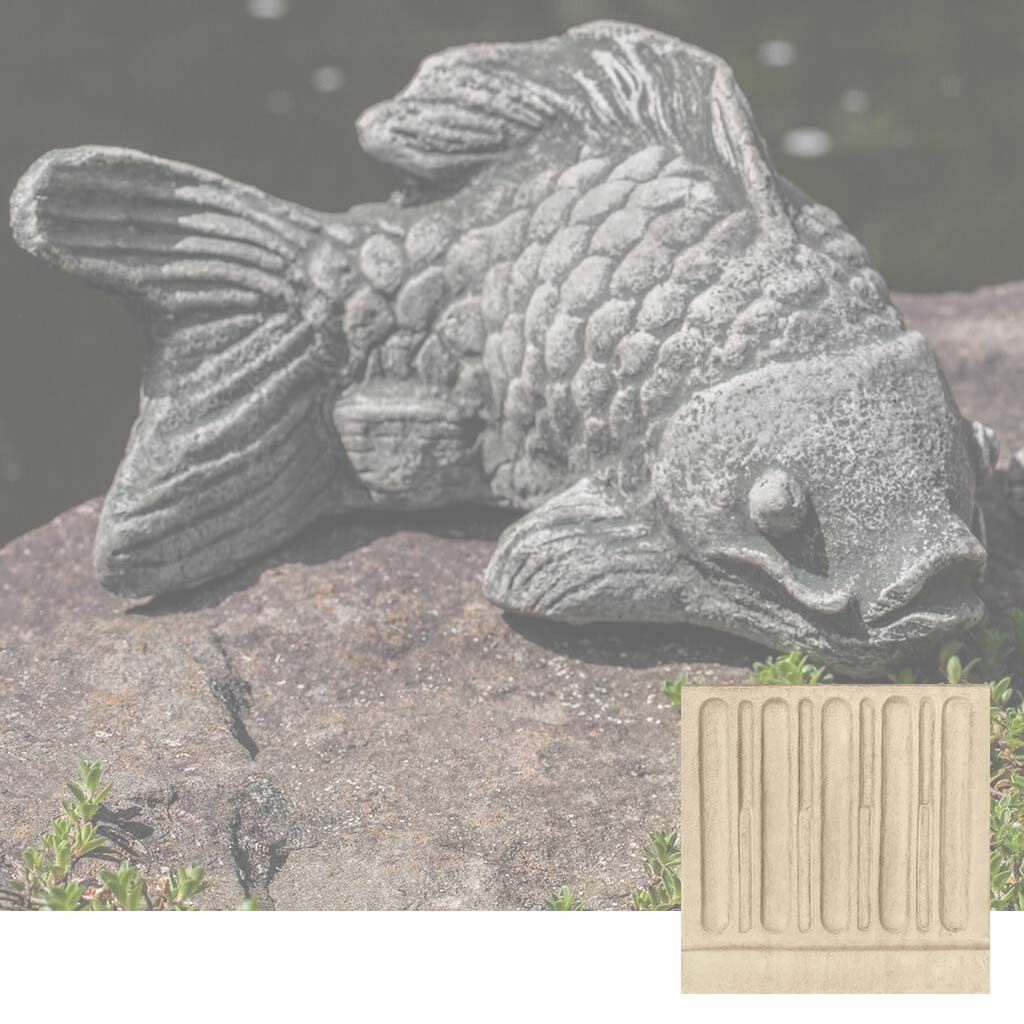 Coy Koi