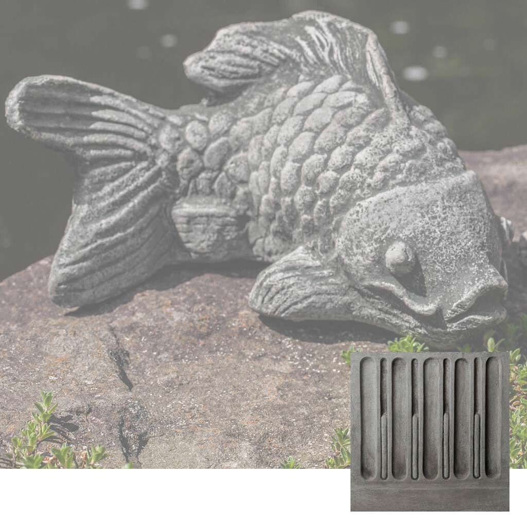 Coy Koi