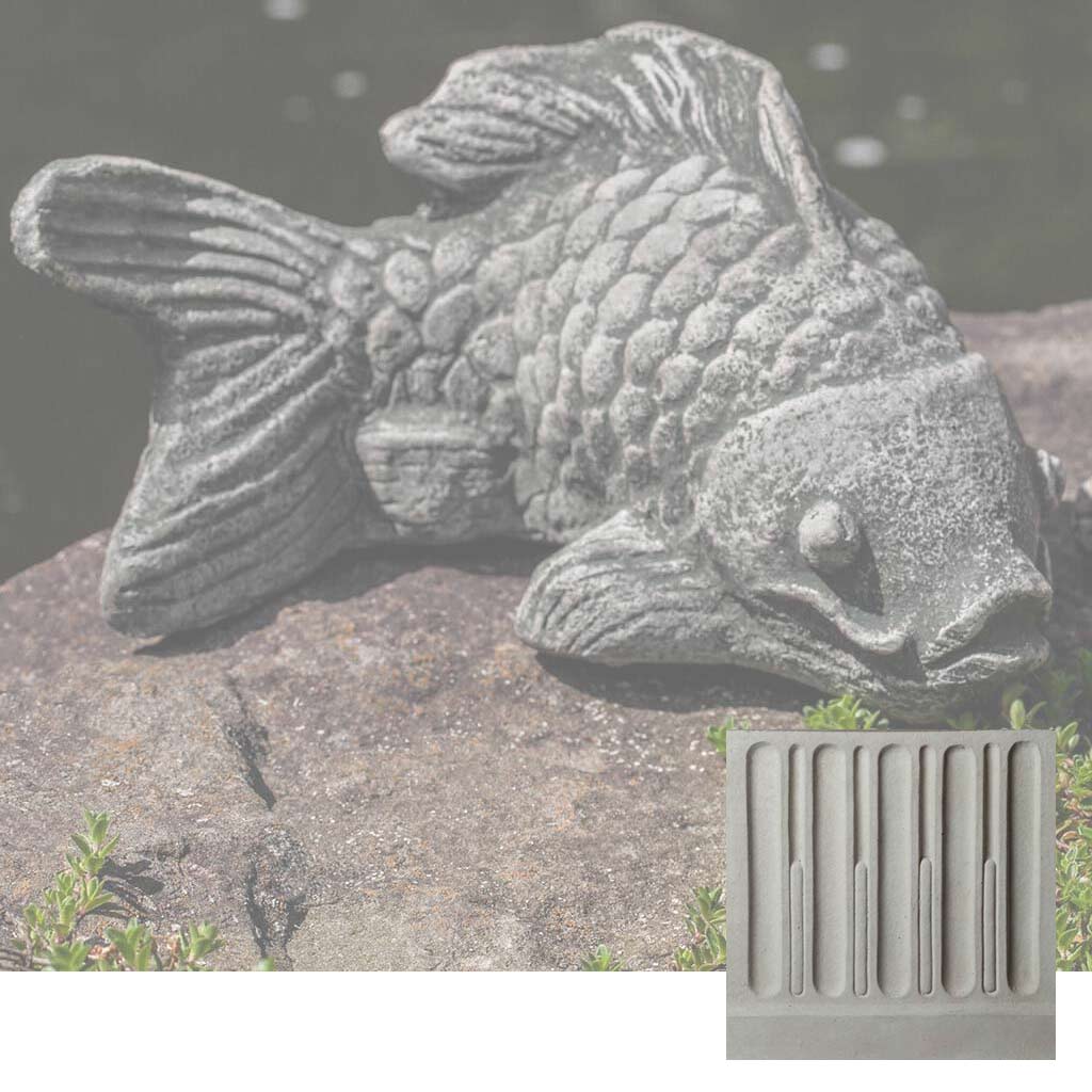 Coy Koi