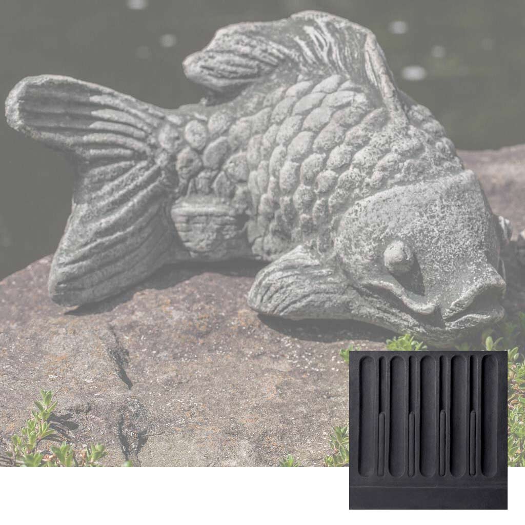 Coy Koi