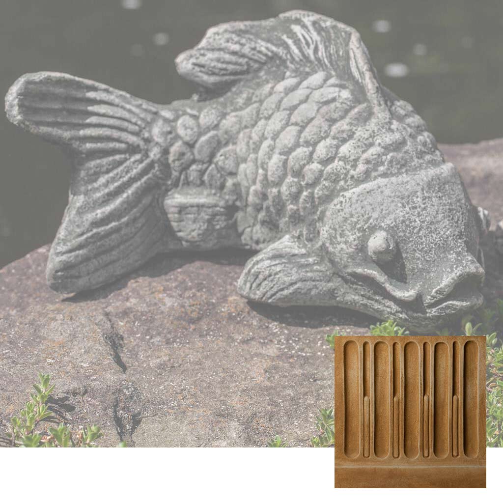Coy Koi