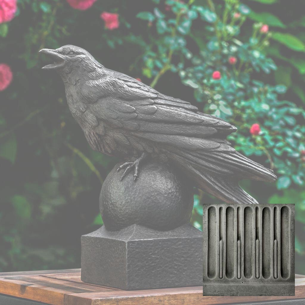 Corvus