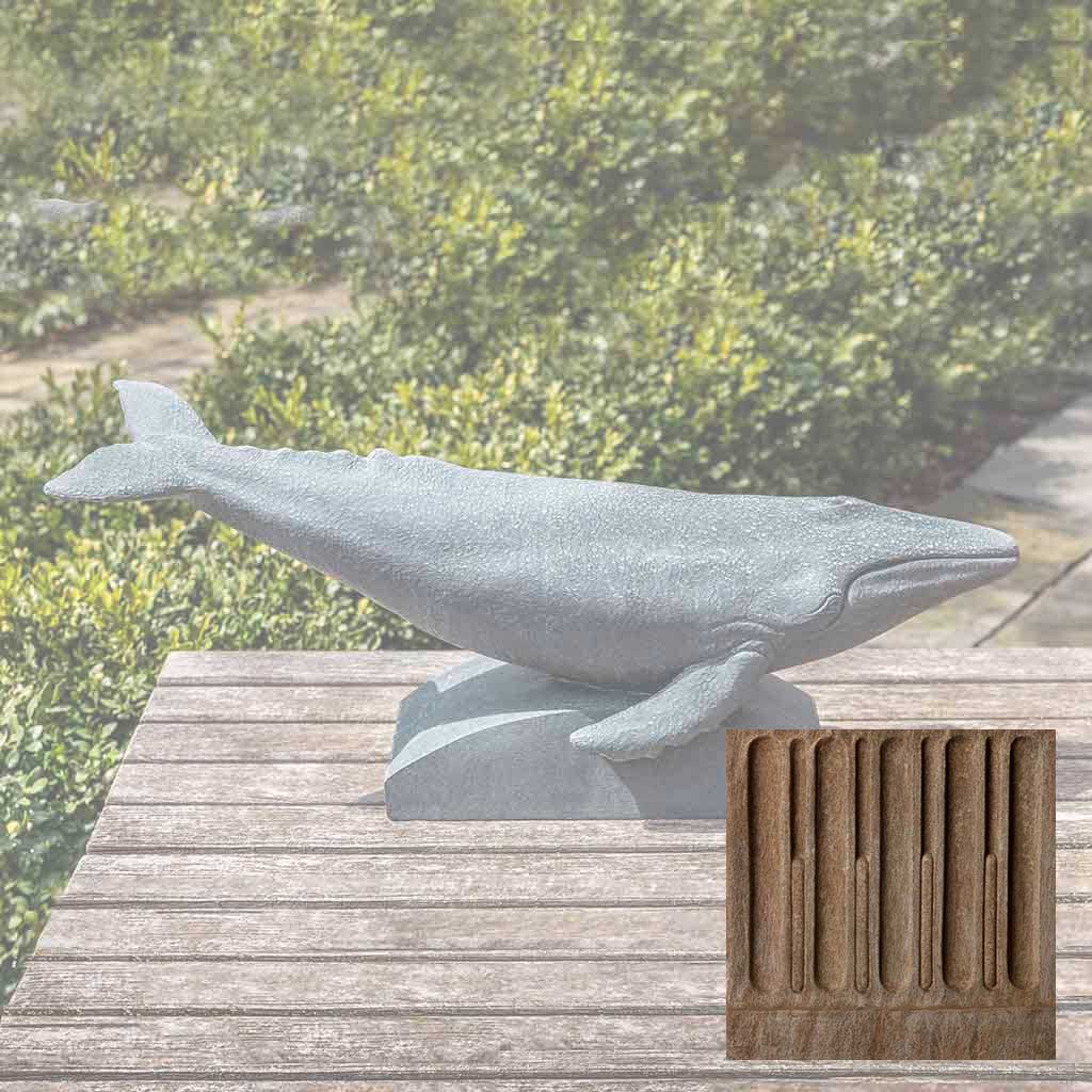 Humpback Whale