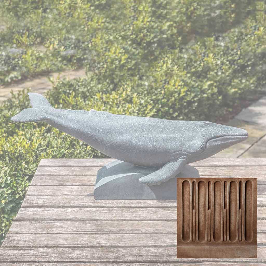 Humpback Whale