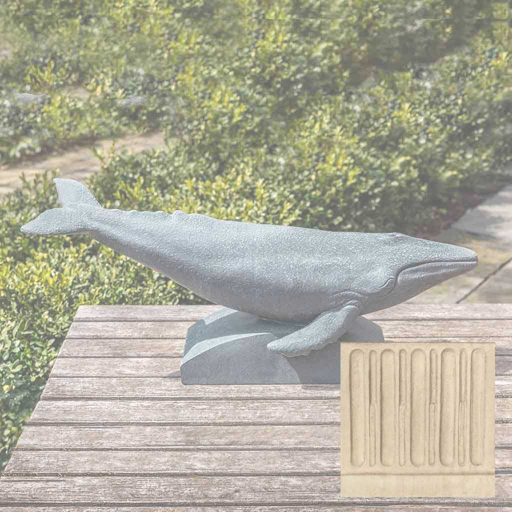 Humpback Whale