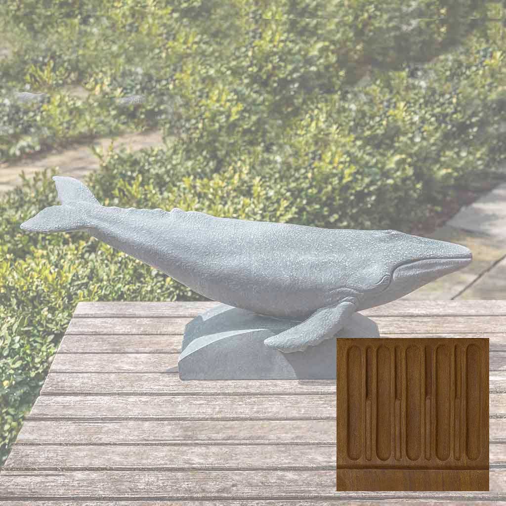 Humpback Whale