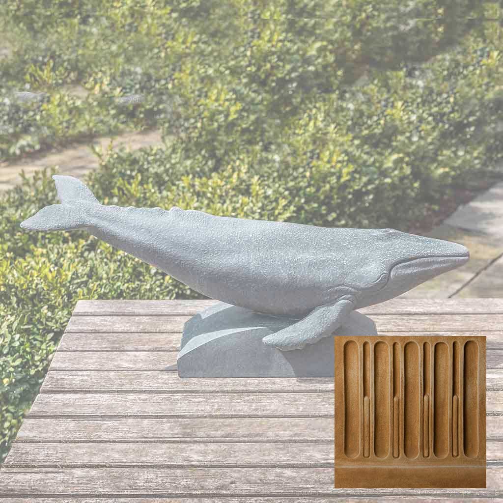 Humpback Whale