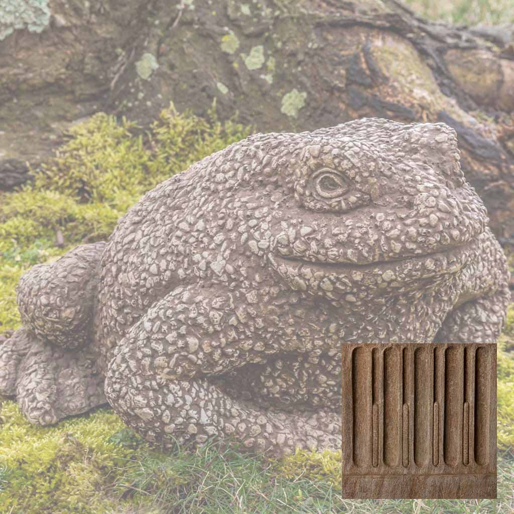 Forest Toad