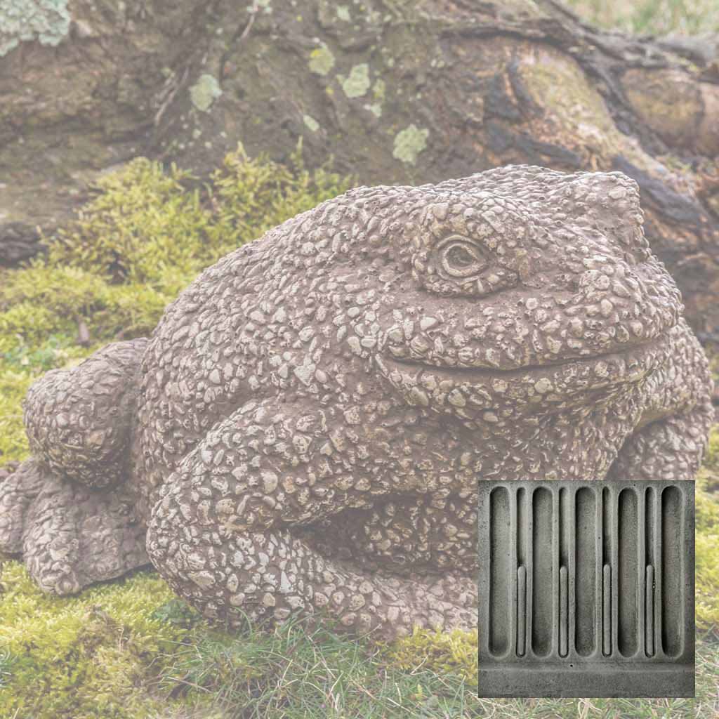 Forest Toad