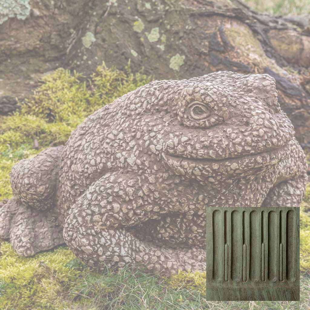 Forest Toad