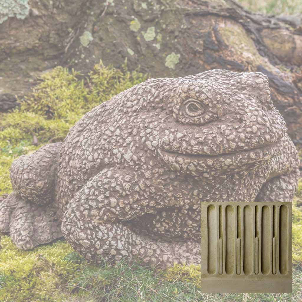 Forest Toad