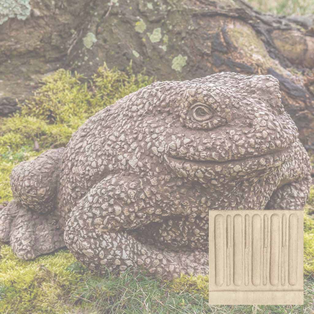 Forest Toad