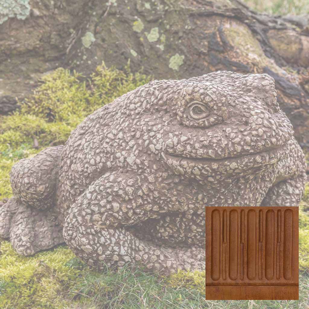 Forest Toad