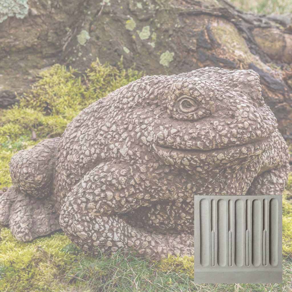 Forest Toad