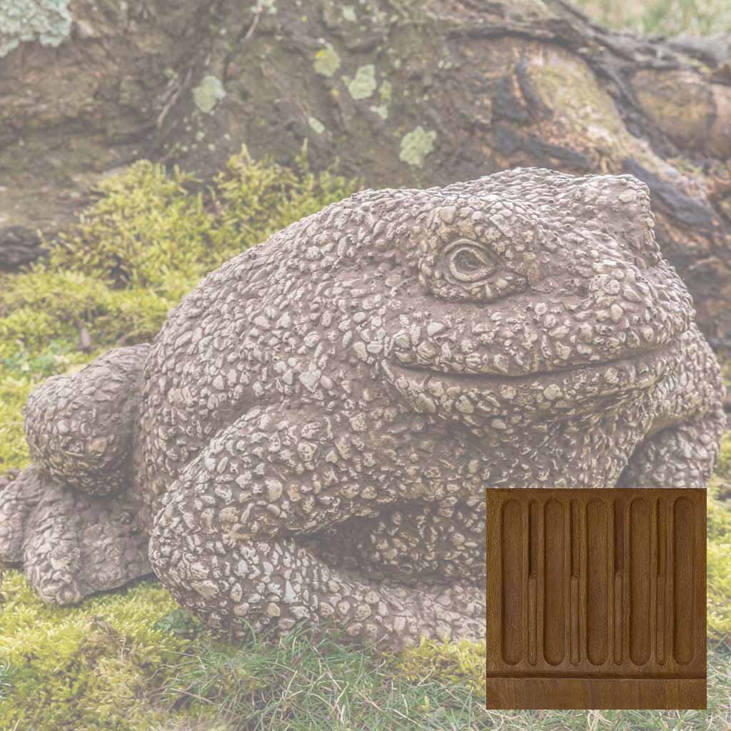 Forest Toad