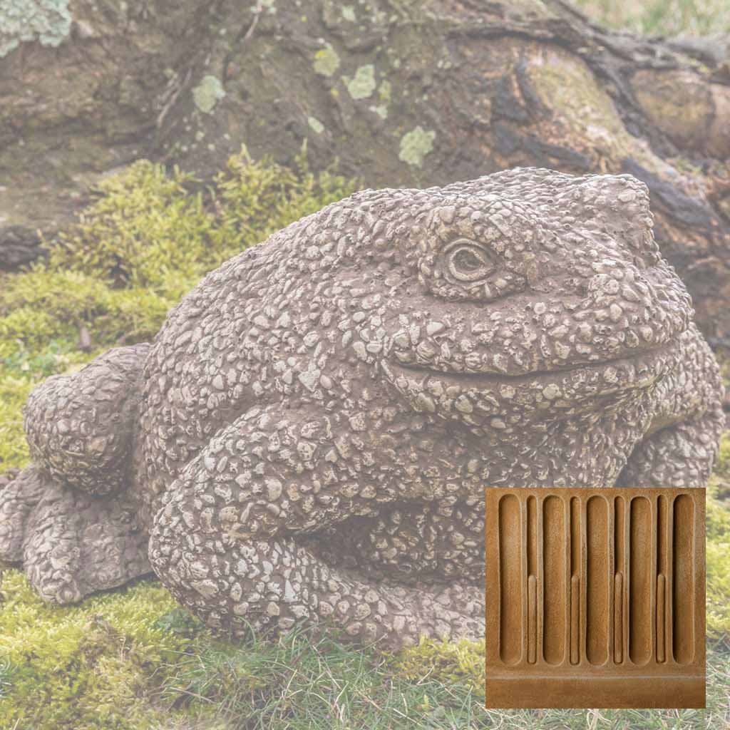 Forest Toad