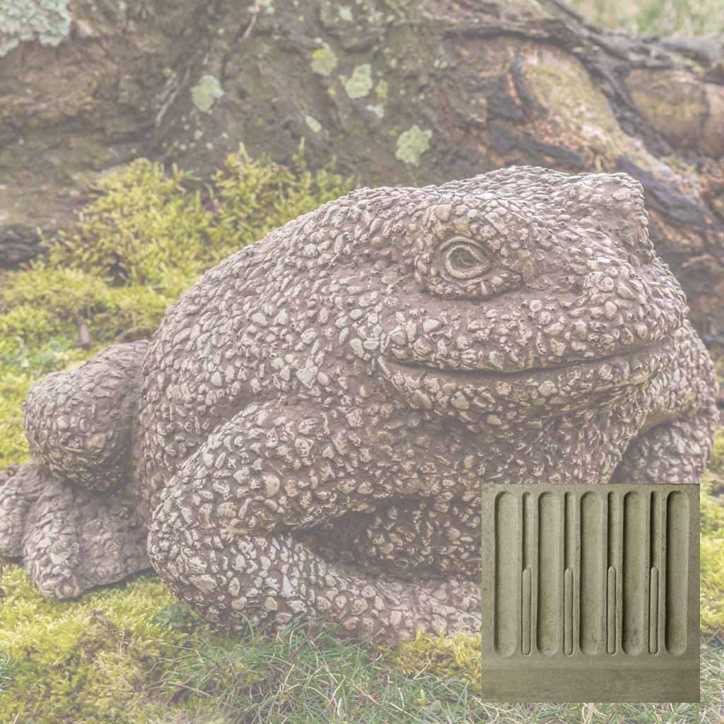 Forest Toad