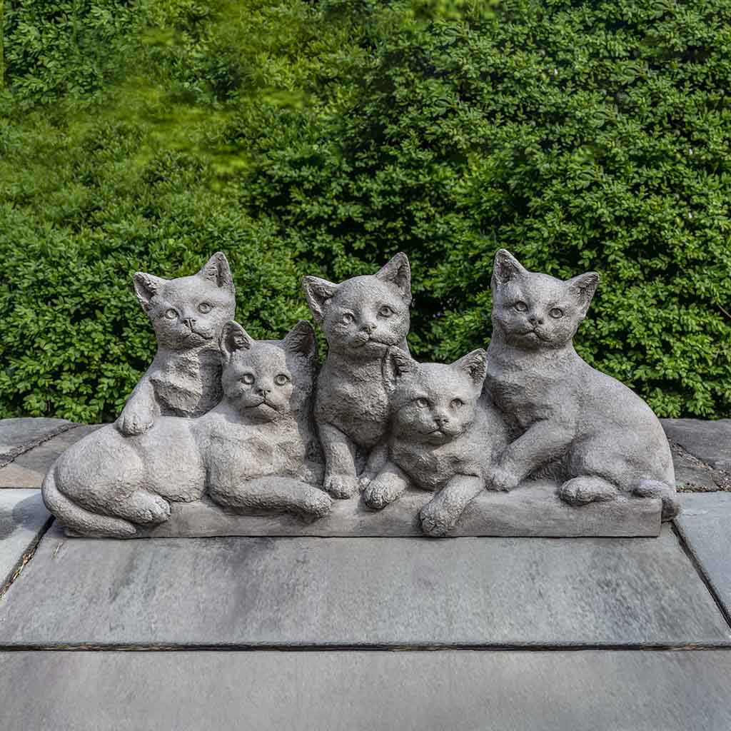 Quintuplets