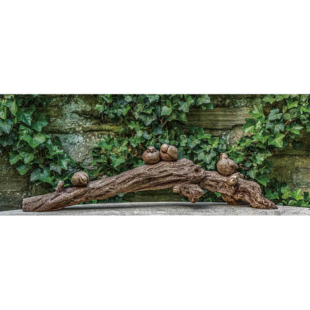 Birds on a Branch