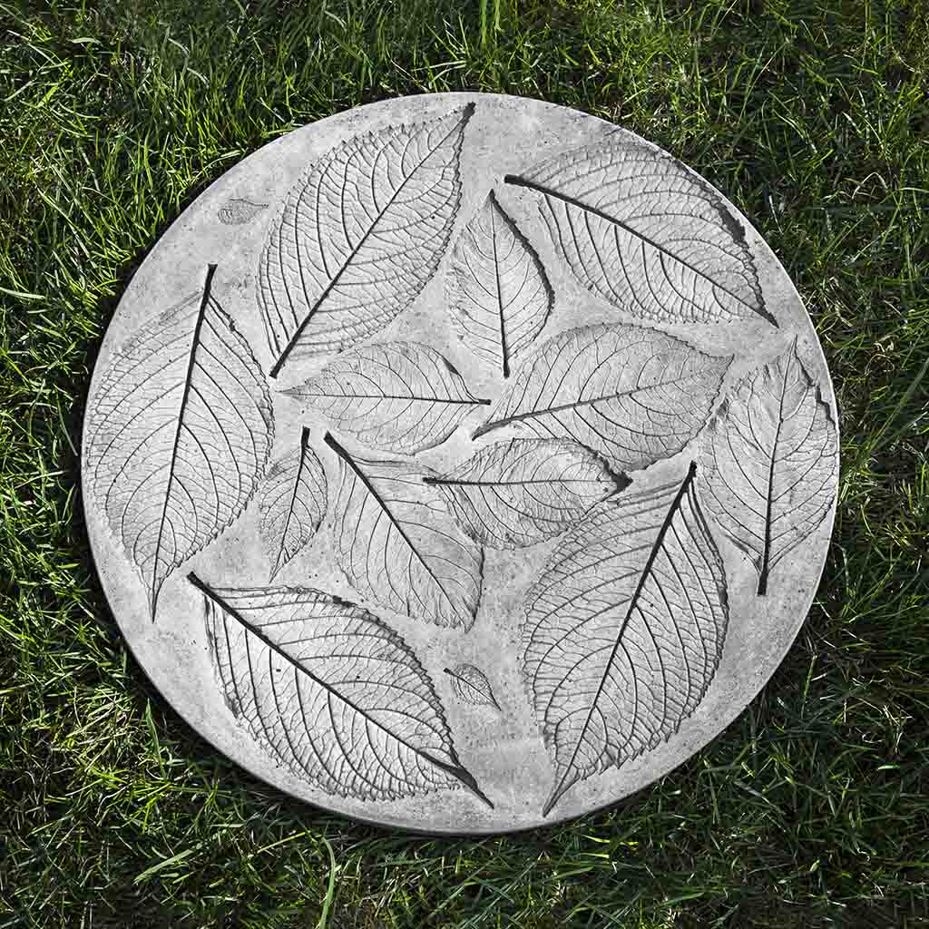 Hydrangea Leaf Stepper
