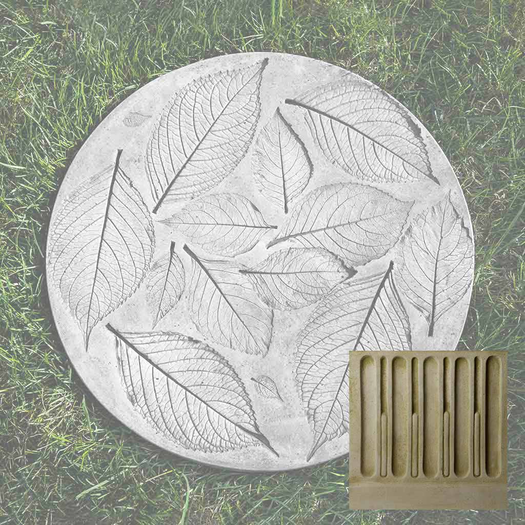 Hydrangea Leaf Stepper