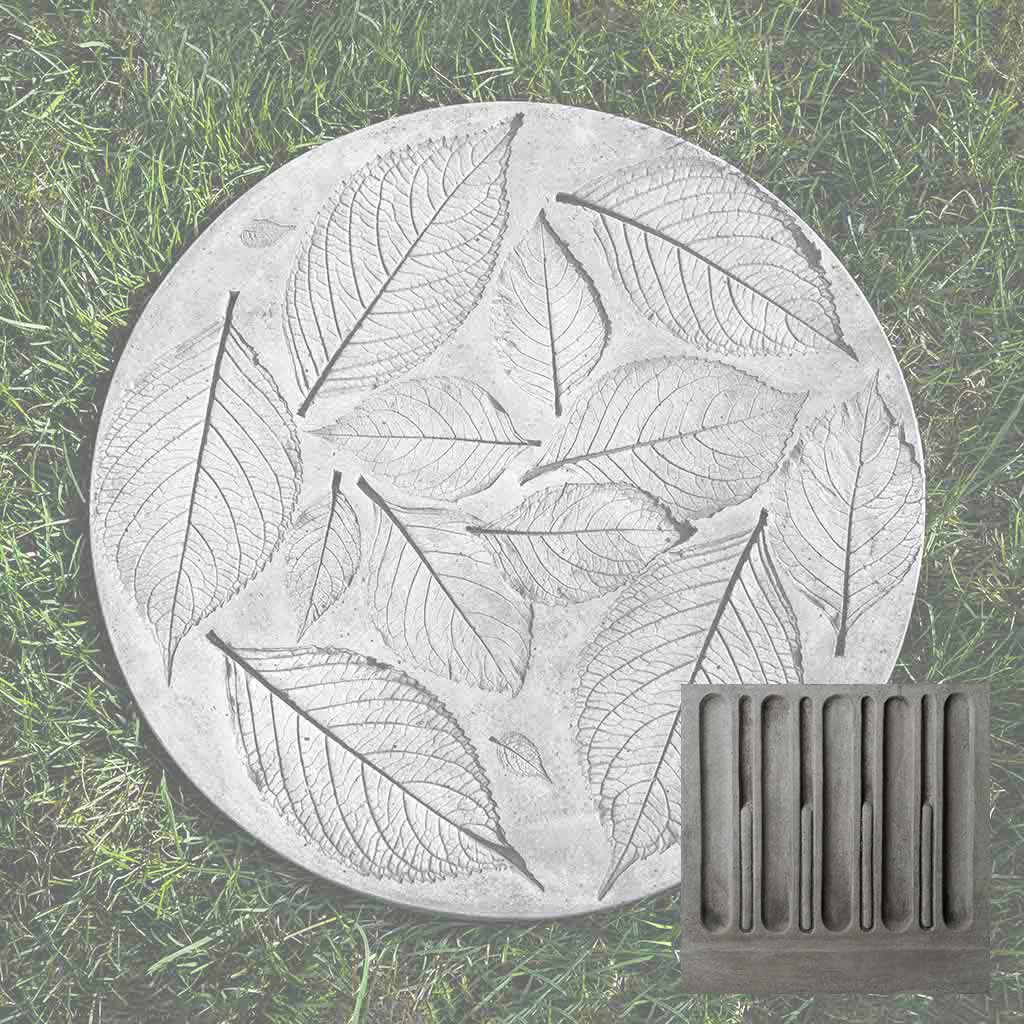 Hydrangea Leaf Stepper
