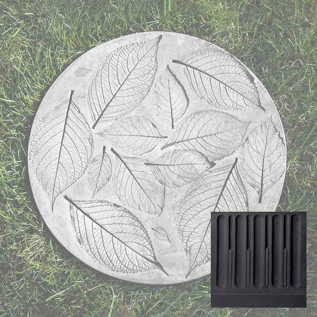 Hydrangea Leaf Stepper