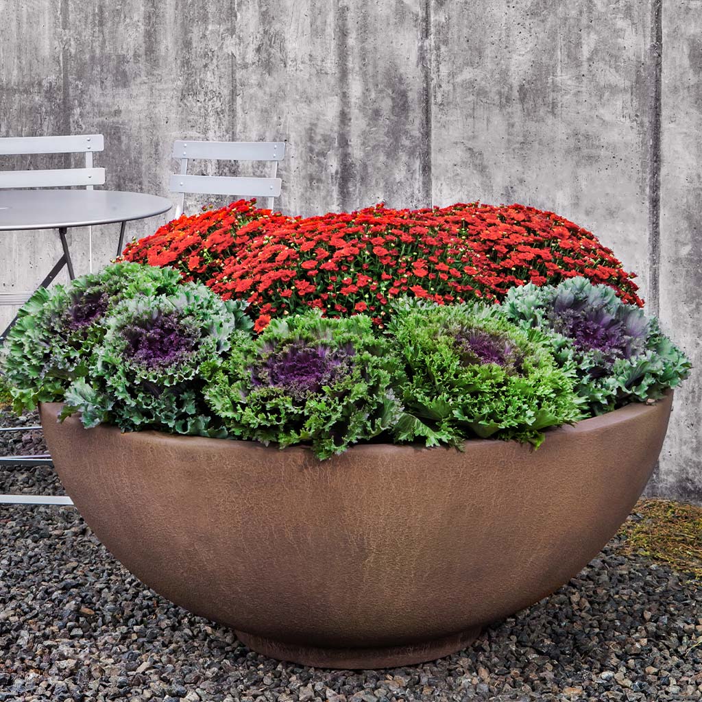 Contour Low Bowl 4719