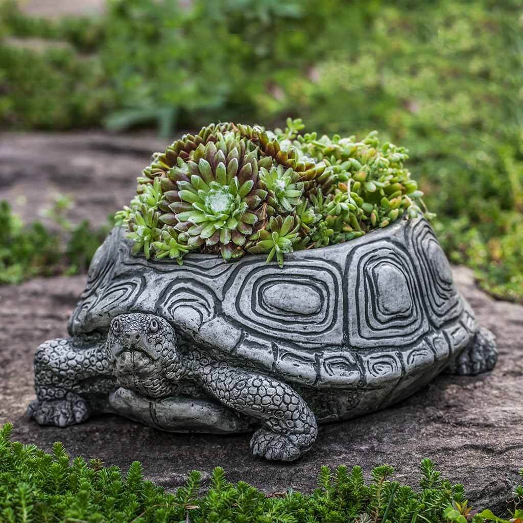 Turtle Planter, Small