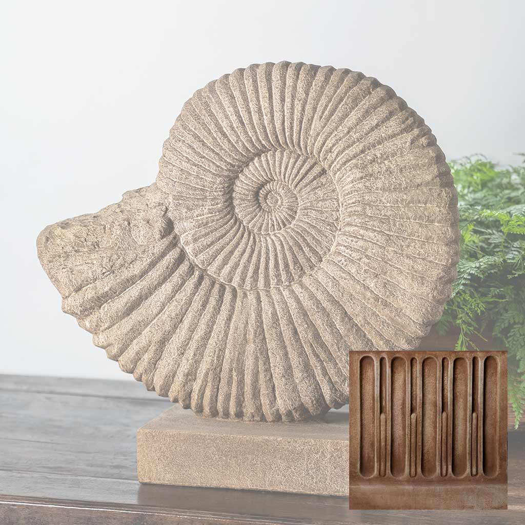 Ammonite, Medium