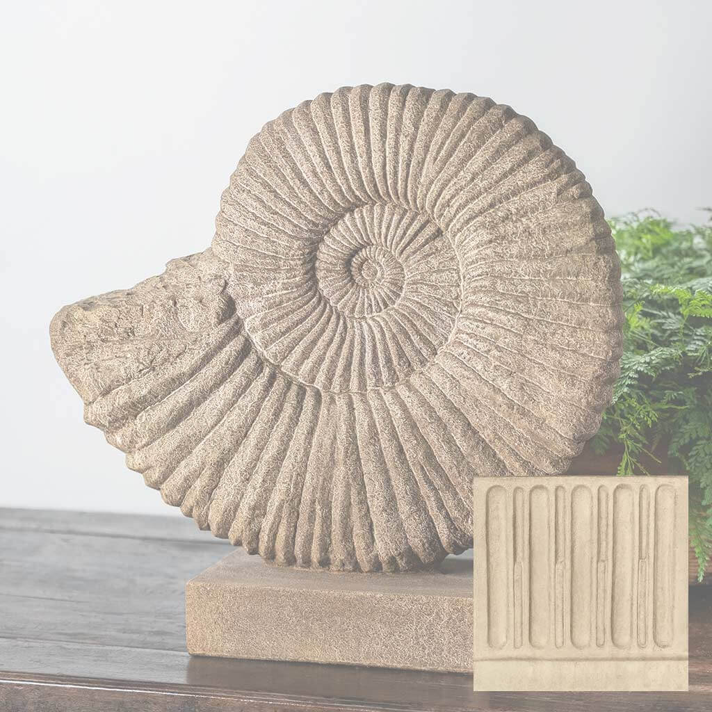 Ammonite, Medium
