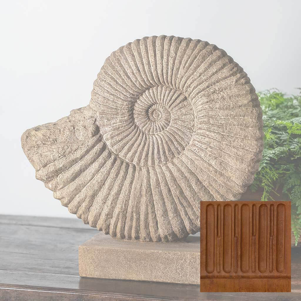 Ammonite, Medium