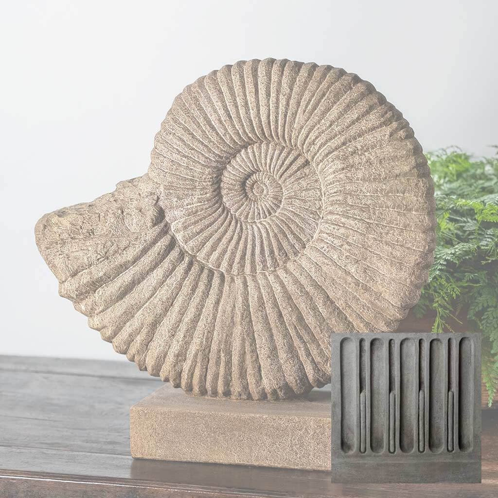 Ammonite, Medium