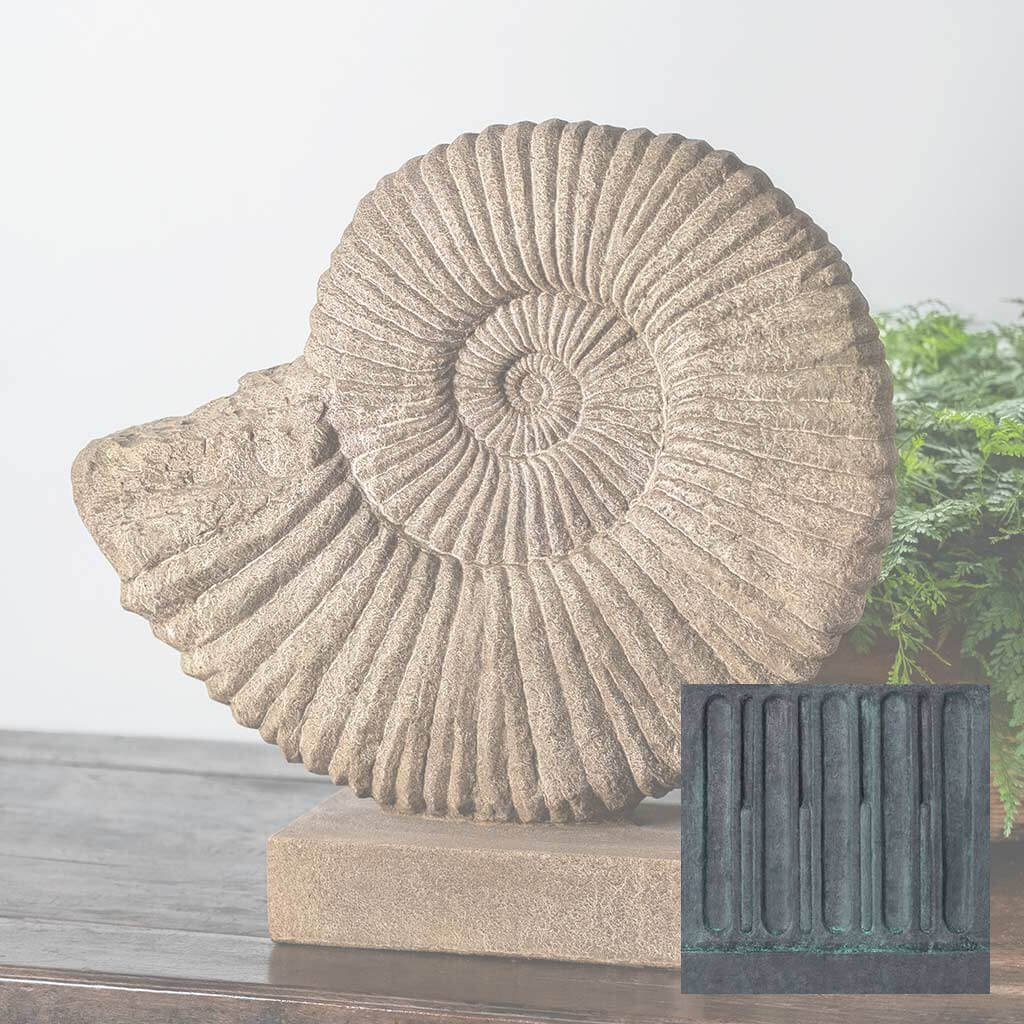 Ammonite, Medium
