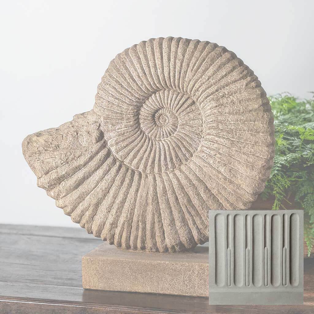 Ammonite, Medium