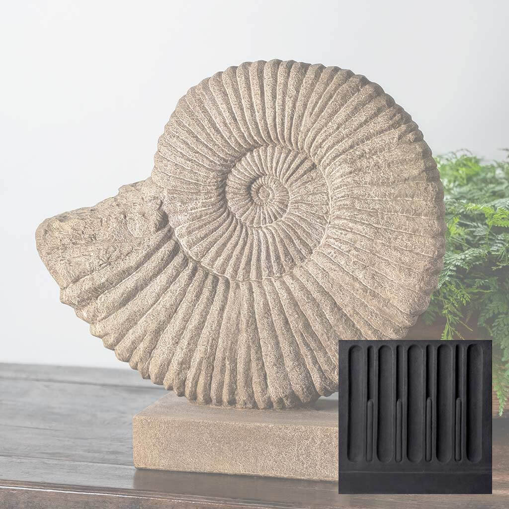 Ammonite, Medium