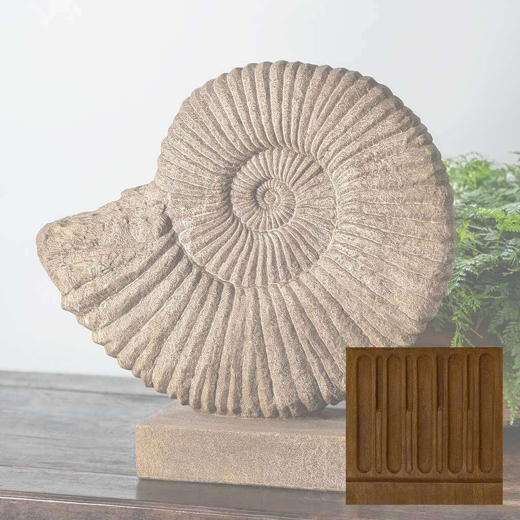Ammonite, Medium